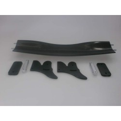 aileron carbone type Ferrari court