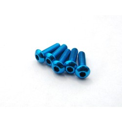 vis alu tête bombé T-Bleu 3x12 5 pcs