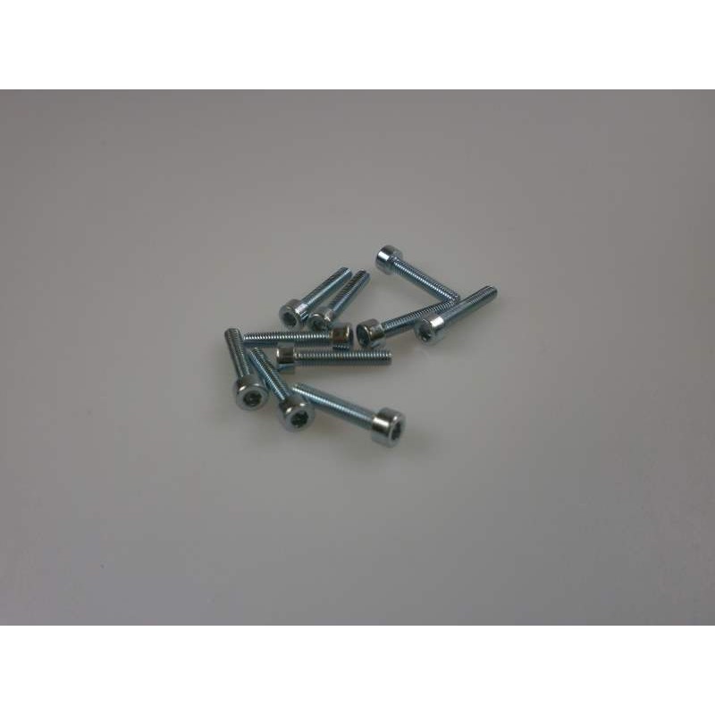 vis tête cylindrique  M5x20 (10)