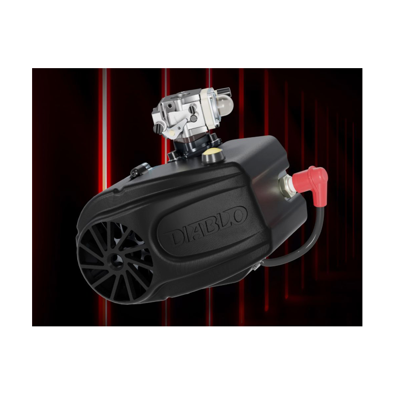 moteur DIABLO R230 préparé ABBATE racing Legend