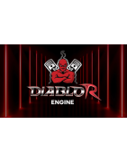 MOTEURS 1/5 DIABLO R